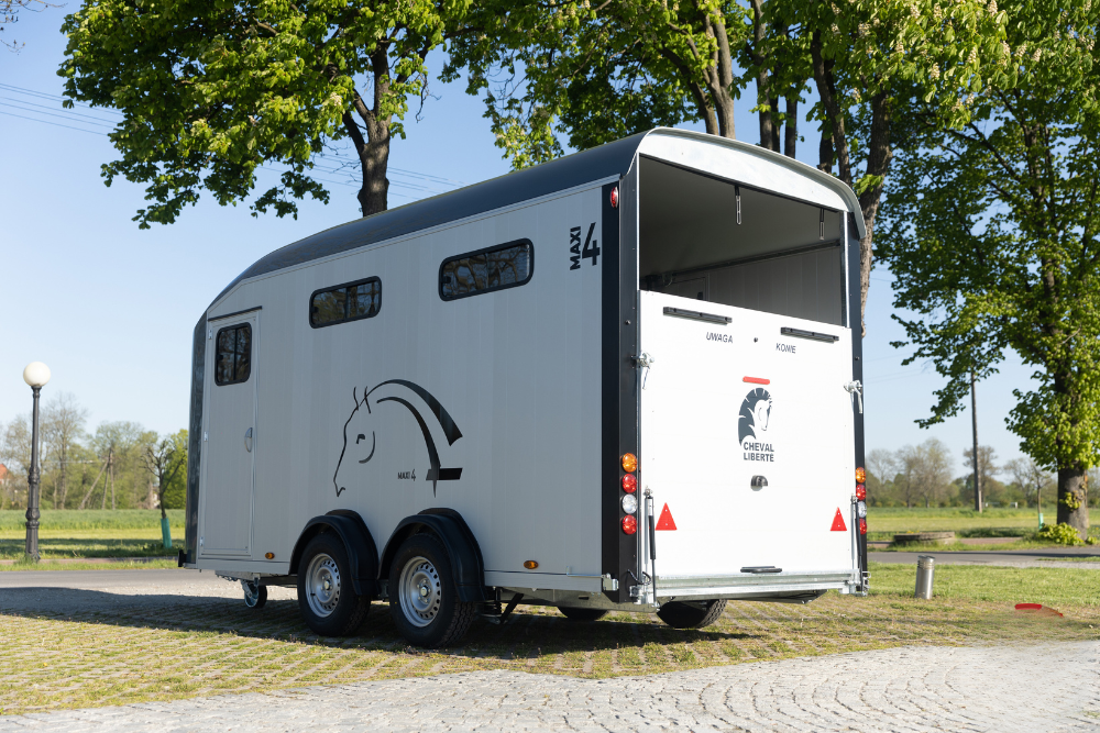 Van Cheval Liberté Maxi 4 Grigio Ferro 4 posti in diagonale - immagine 3