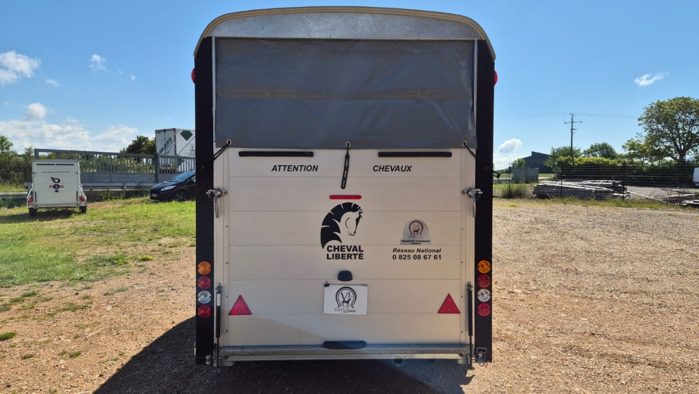 Van Cheval Liberté Maxi 4 Grigio Ferro 4 posti in diagonale - immagine 10
